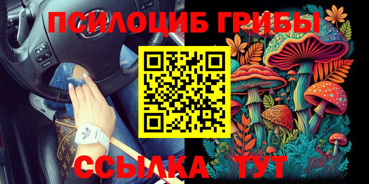 Галлюциногенные грибы Magic Shrooms Выборг