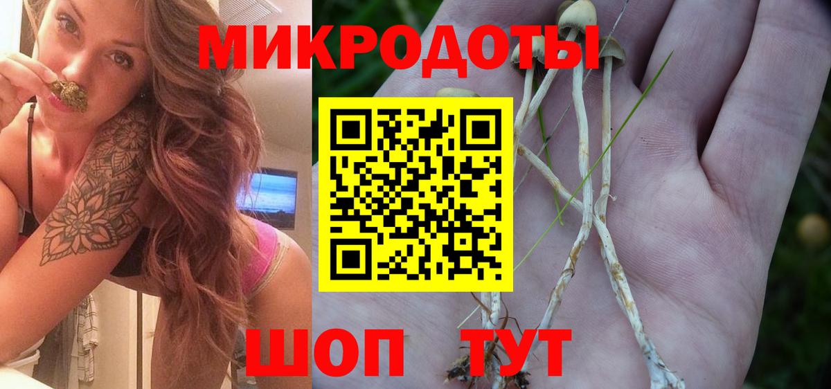 Галлюциногенные грибы Magic Shrooms  Вход с VPN  купить наркотики цена  Выборг  Псилоцибиновые грибы MAGIC MUSHROOMS 